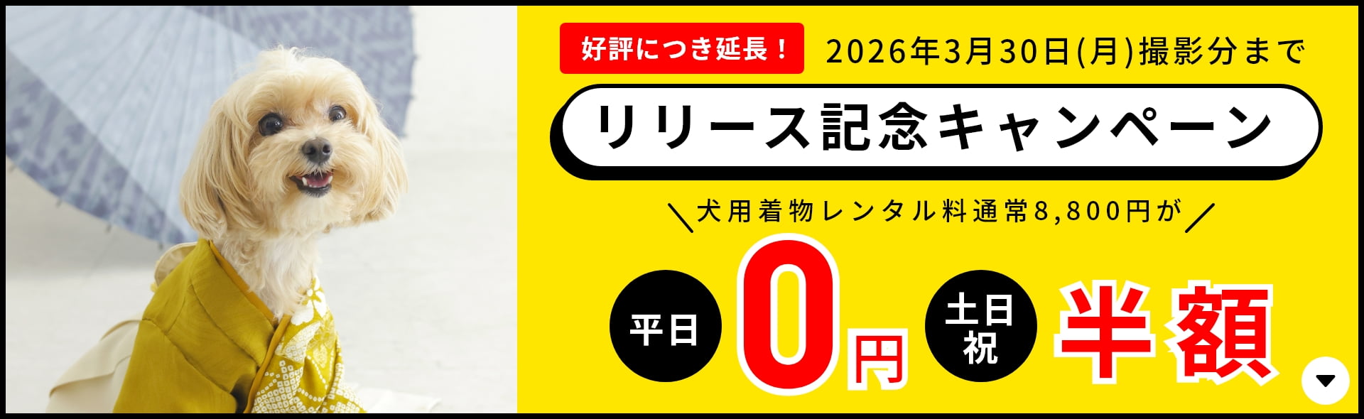 犬用着物レンタル リリース記念キャンペーン